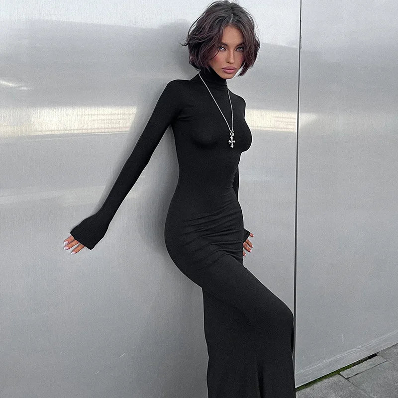NERINA TURTLENECK MAXI DRESS
